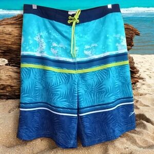 Speedo Men's Blue Striped Swim Trunks Size Large